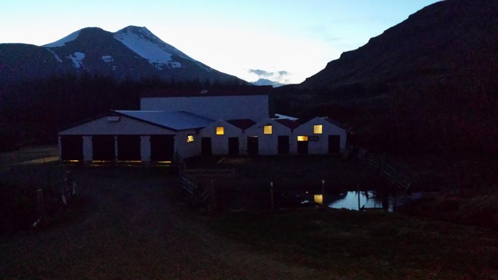 Setberg Guesthouse Nesjum Bagian luar foto